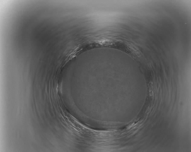 X0000058811298200510071717