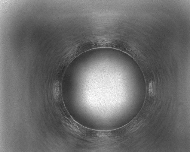 X0000058811299200510071717