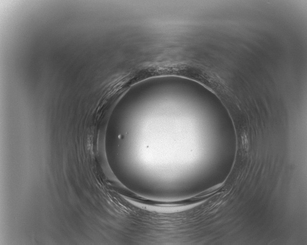 X0000058811300200510071717