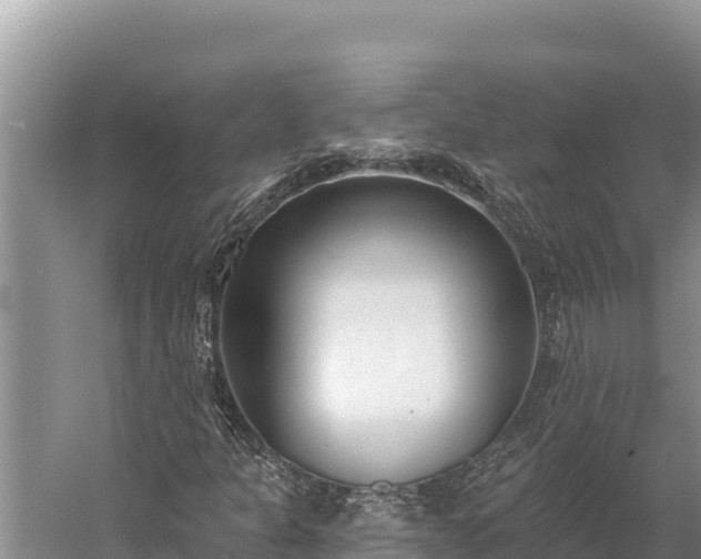 X0000058811301200510071717