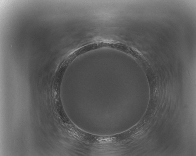 X0000058811303200510071717