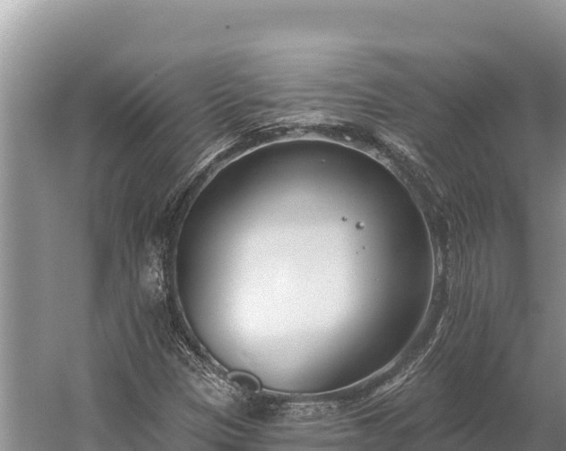 X0000058811305200510071717