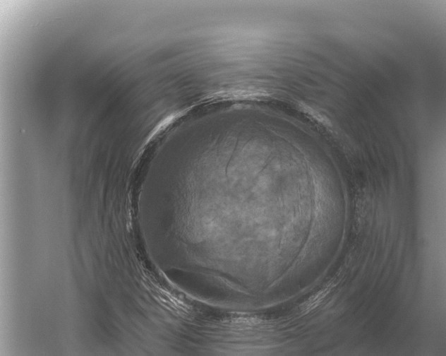 X0000058811306200510071717