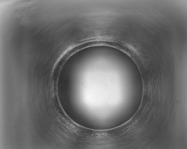 X0000058811310200510071717