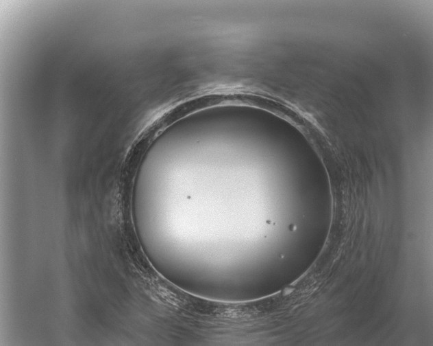 X0000058811311200510071717