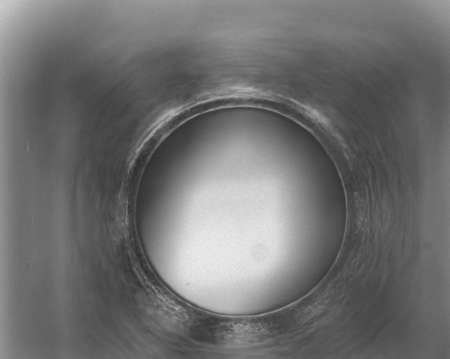 X0000058811318200510071718