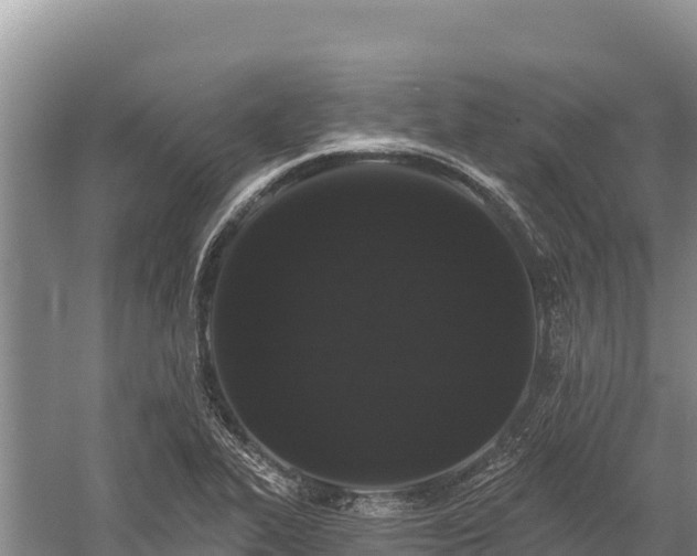 X0000058811319200510071718