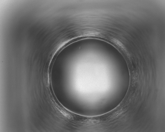 X0000058811324200510071718