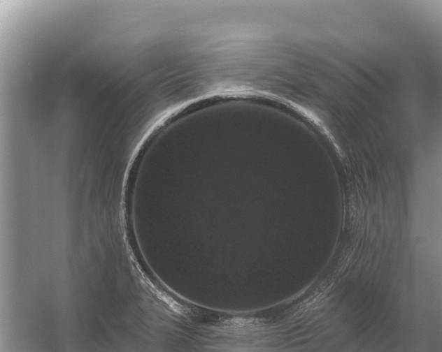 X0000058811327200510071718