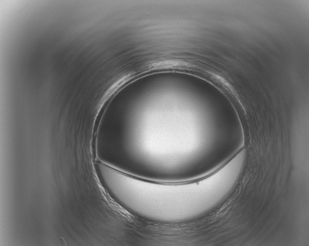 X0000058811330200510071718