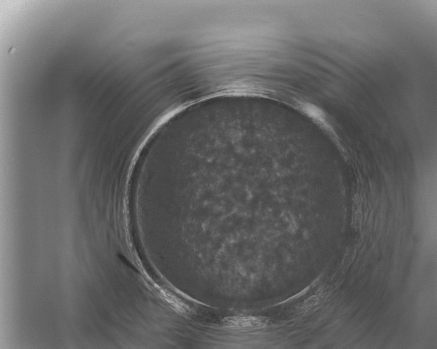 X0000058811331200510071718