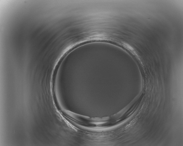 X0000058811334200510071718