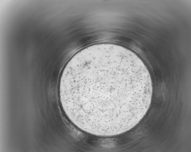 X0000058811338200510071718