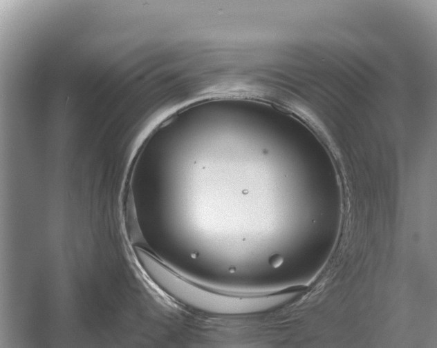 X0000058811344200510071718