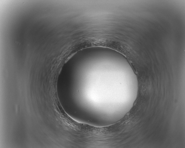 X0000058811345200510071717