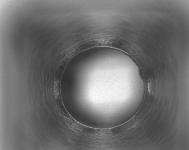 X0000058811347200510071717