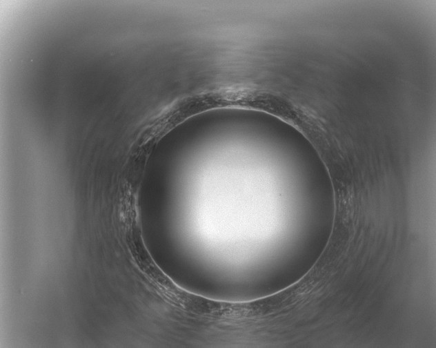 X0000058811349200510071717