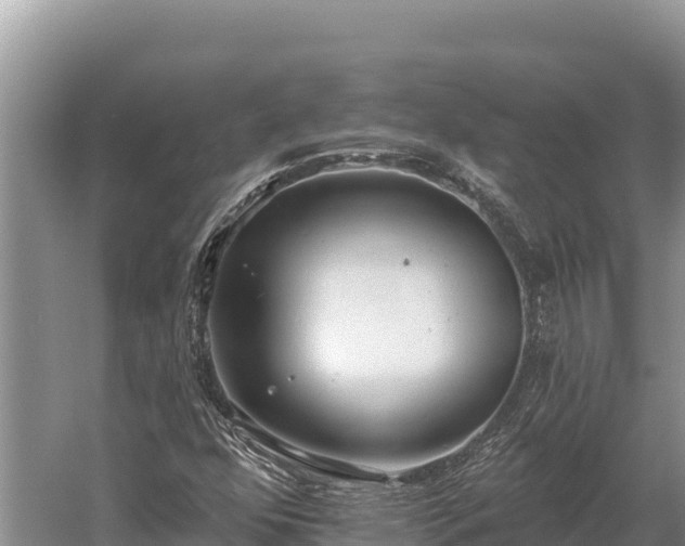 X0000058811352200510071717