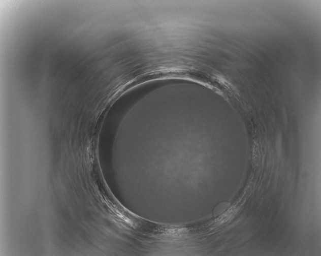 X0000058811353200510071717