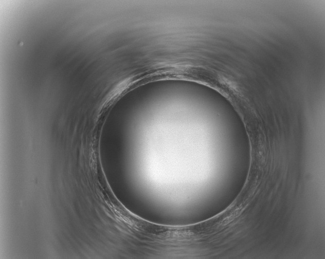 X0000058811354200510071717