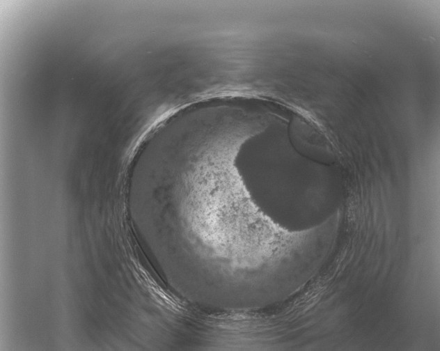 X0000058811359200510071717