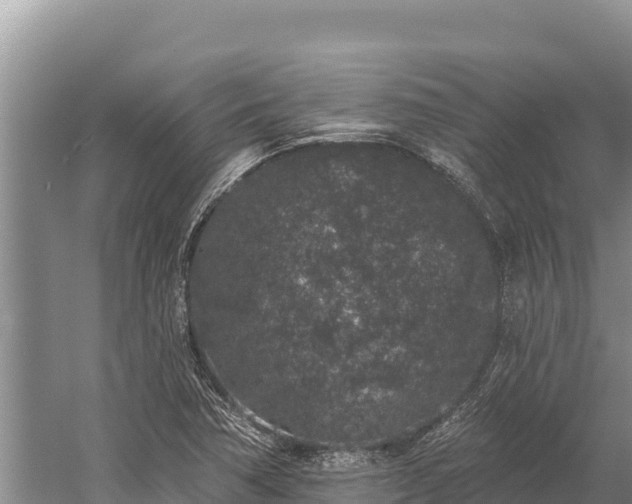 X0000058811362200510071717