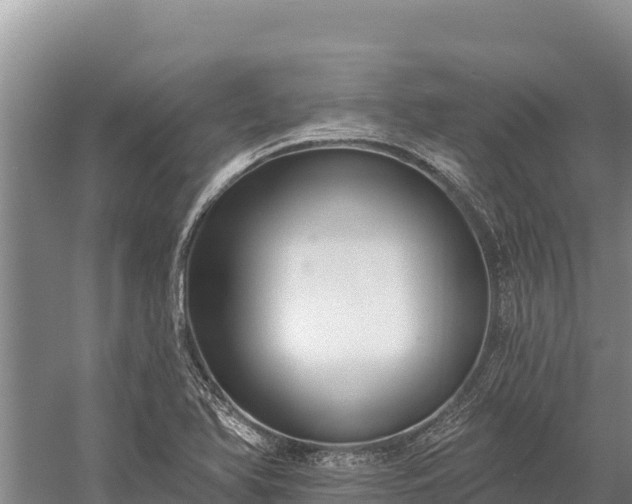 X0000058811366200510071717