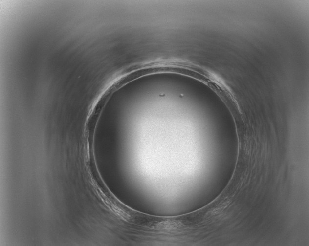 X0000058811368200510071717