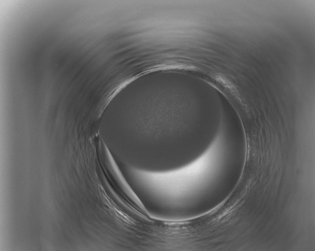 X0000058811369200510071717