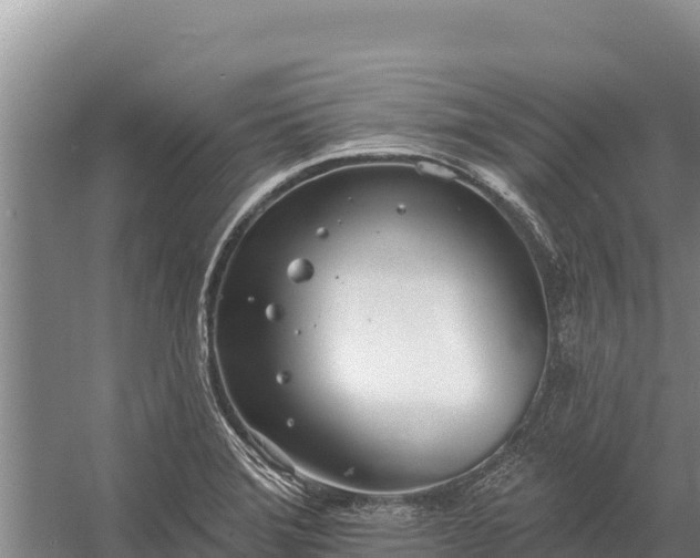 X0000058811372200510071717