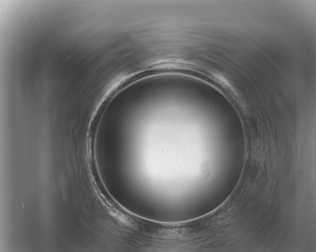 X0000058811376200510071717