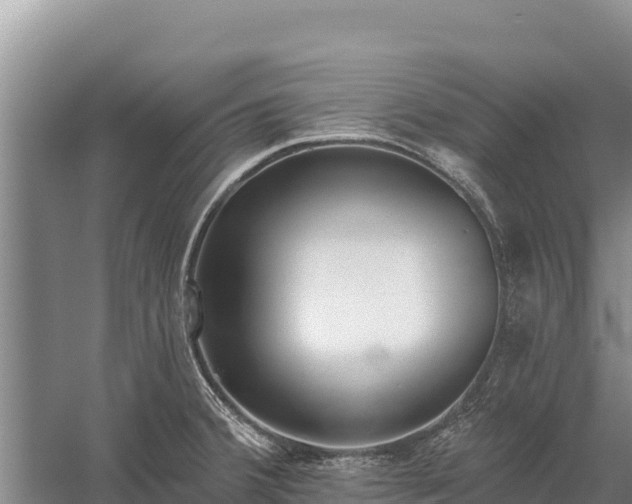 X0000058811380200510071717