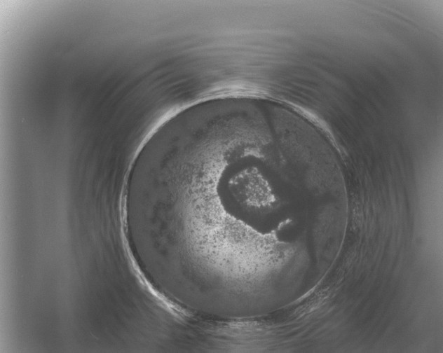 X0000058811383200510071717