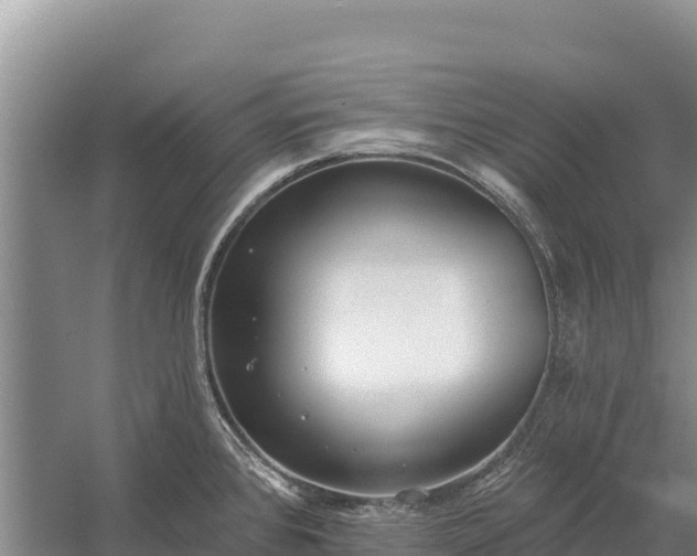 X0000058811384200510071717