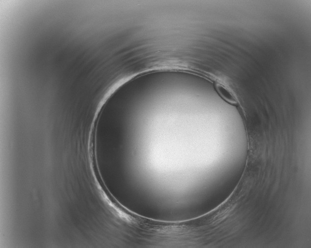 X0000058811387200510071716