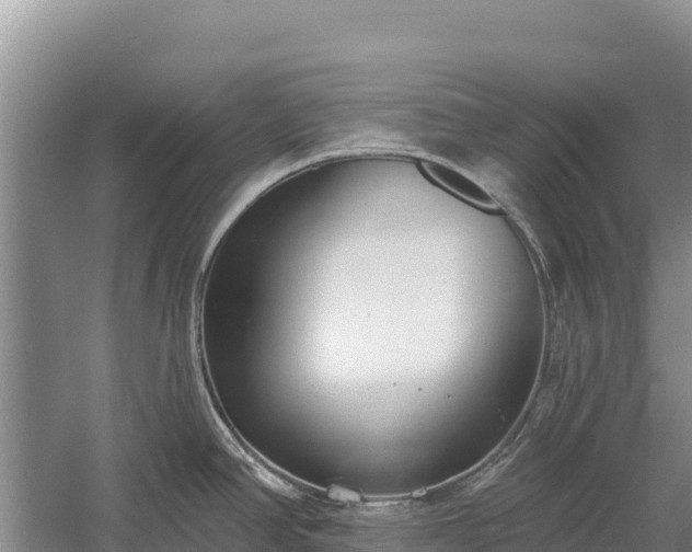 X0000058811390200510071716