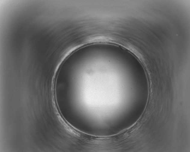 X0000058811392200510071716