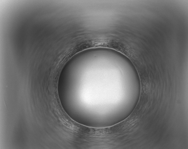 X0000058811393200510071716