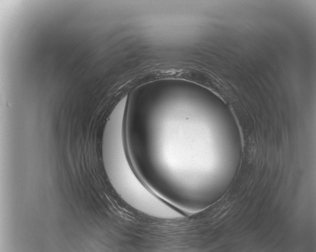 X0000058811394200510071716