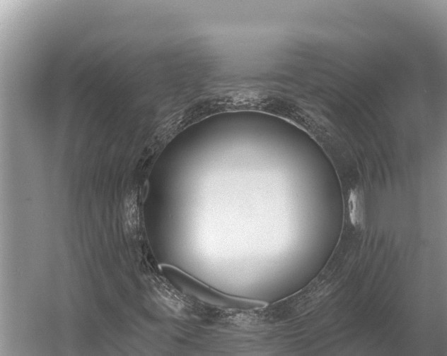 X0000058811395200510071716