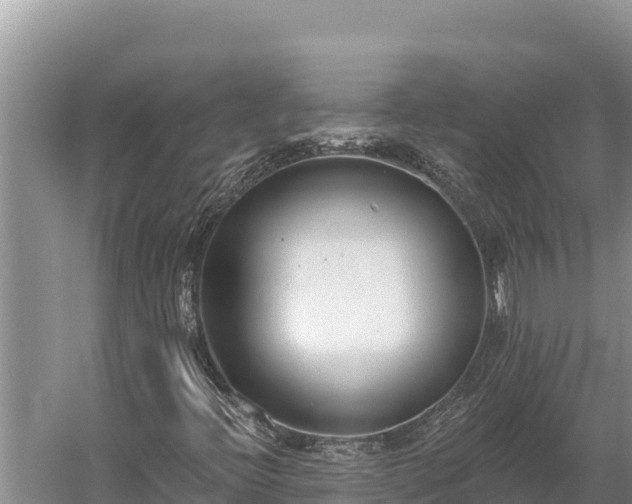 X0000058811396200510071716