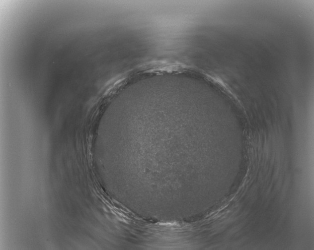 X0000058811399200510071716