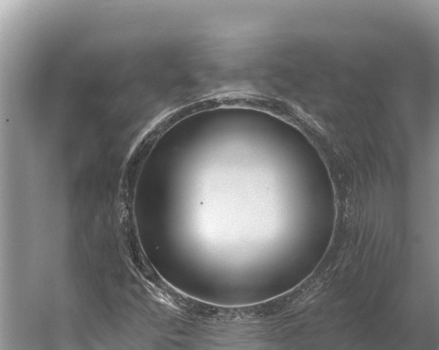 X0000058811400200510071716