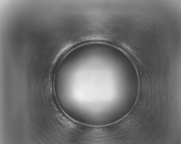 X0000058811408200510071716