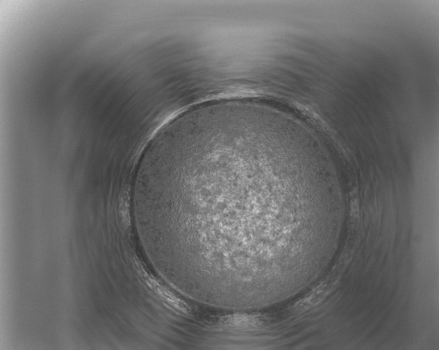 X0000058811409200510071716