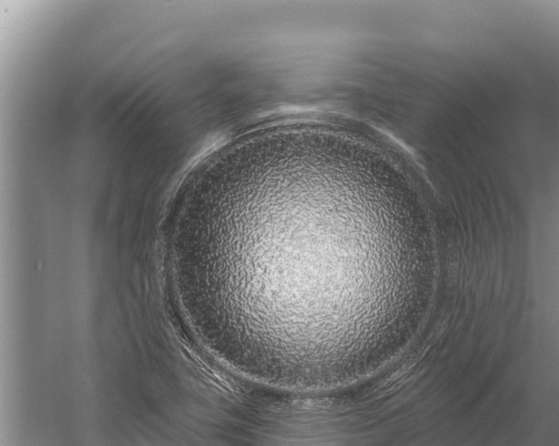 X0000058811411200510071716