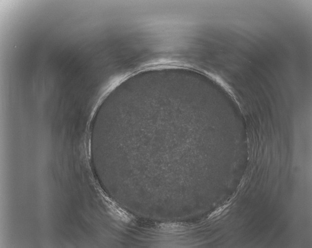 X0000058811413200510071716