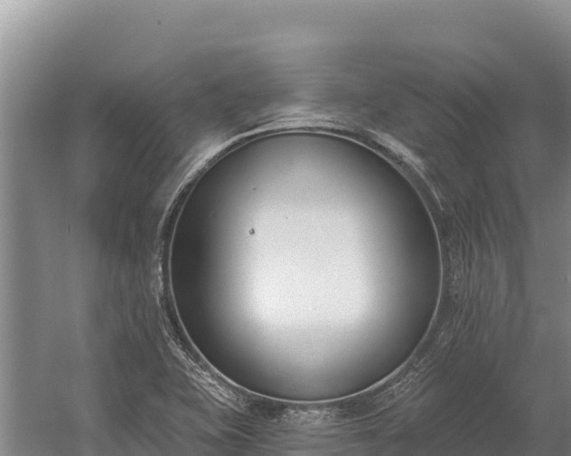 X0000058811415200510071716