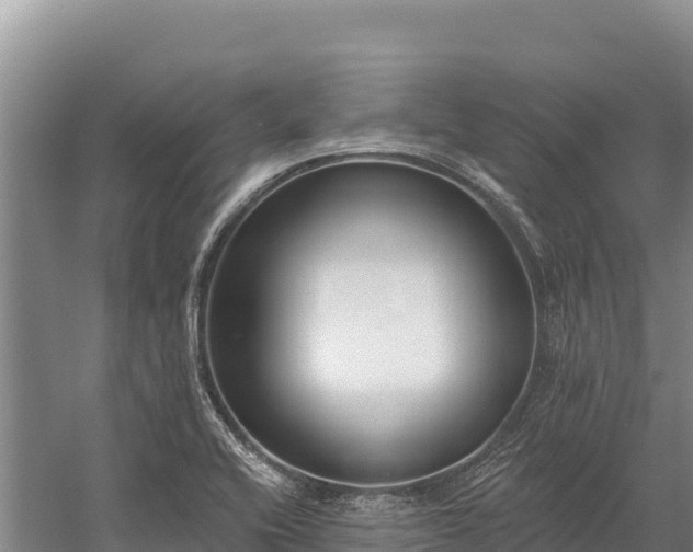 X0000058811416200510071716