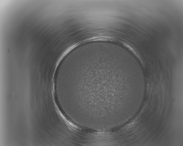 X0000058811418200510071716